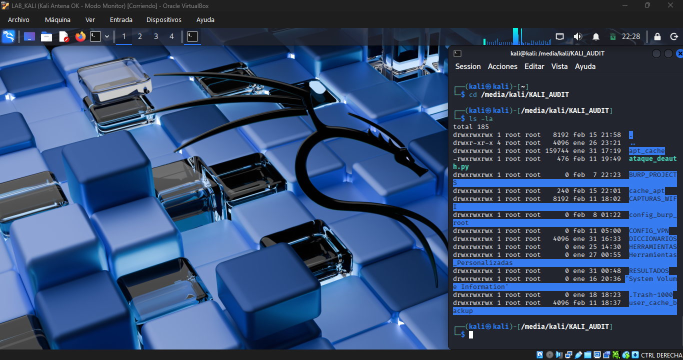 Kali Linux KALI_AUDIT directory listing